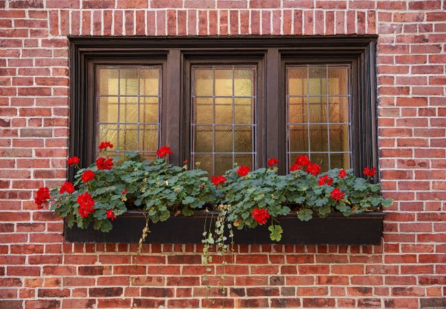 All You Need to Know About Tinted Home Windows