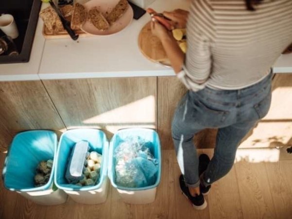 30 Things in Your House That Are Attracting Bugs and Rodents