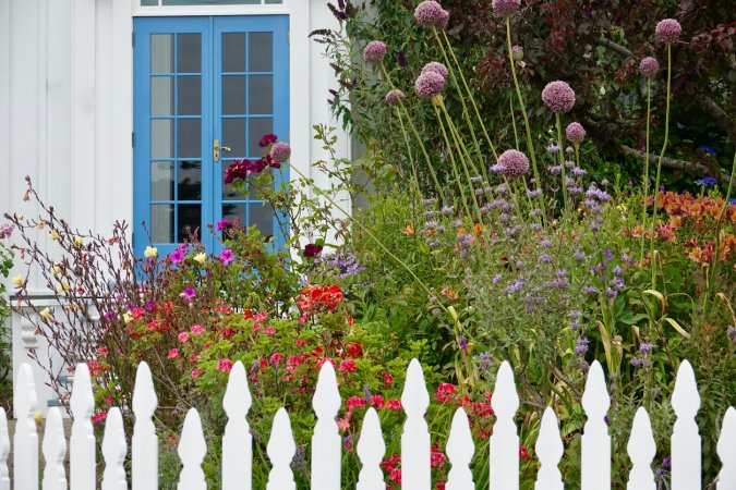 Quaint cottage garden with vintage white picket fence and colorful flowers