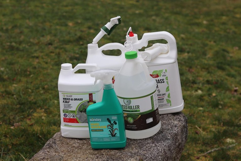 The Best Pet-Safe Weed Killes