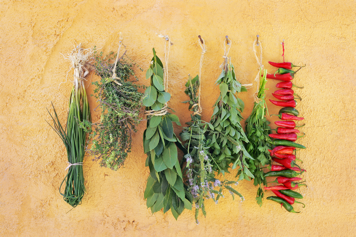 Five different kids of herbs hanging out to dry upside-down against a mustard-colored wall.
